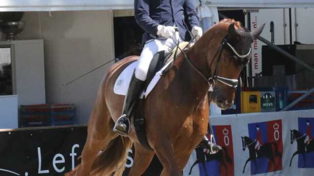 Eike Bewerungen Jader RC