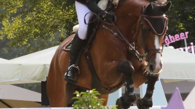 Janne Sosath-Hahn Berne