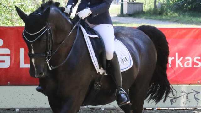 Luisa Hemme Jader RC4