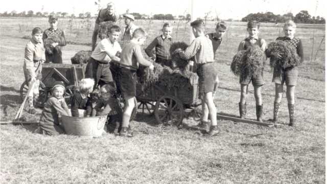 Die Fußballjugend aus Phiesewarden half mit, den Platz zu pflegen. Das Bild entstand im September 1955.